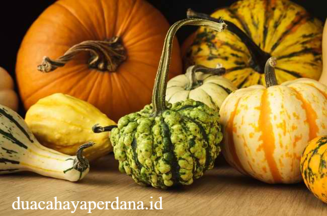 Khasiat Sayur Labu Yang Sehat, Lezat